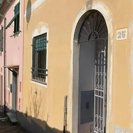 Happy Family Maggiolino Genua